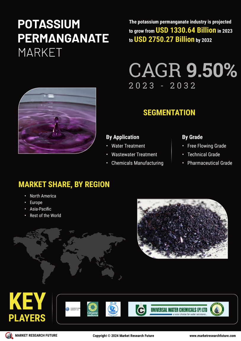 Potassium Permanganate Market