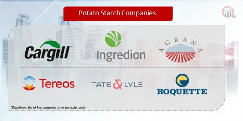Potato Starch Companies