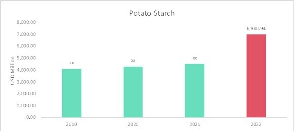 Potato Starch Market Overview