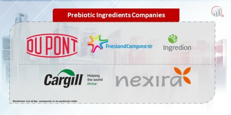 Prebiotic Ingredients Companies