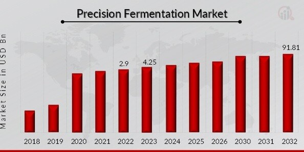 Precision Fermentation Market Overview