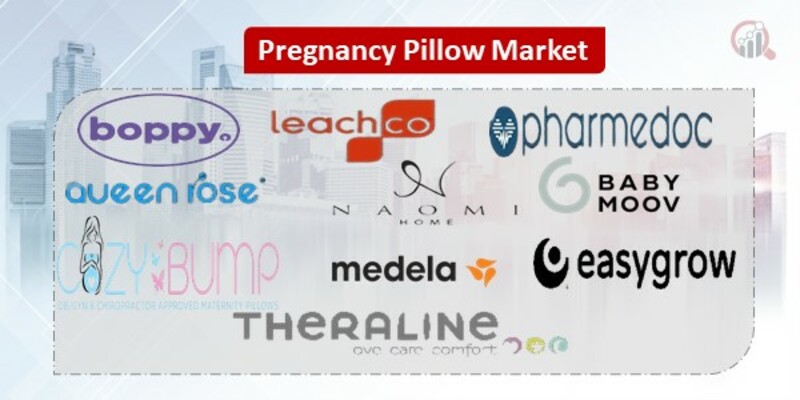 Pregnancy Pillow Key Companies