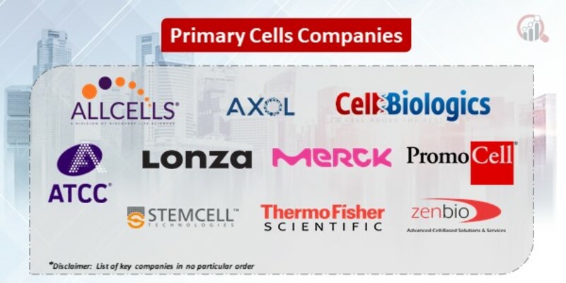Primary Cells Key Companies