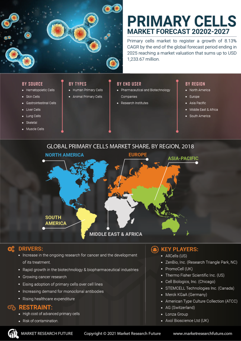 Primary Cells Market