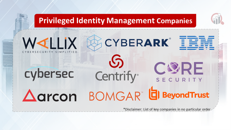 Privileged Identity Management Companies