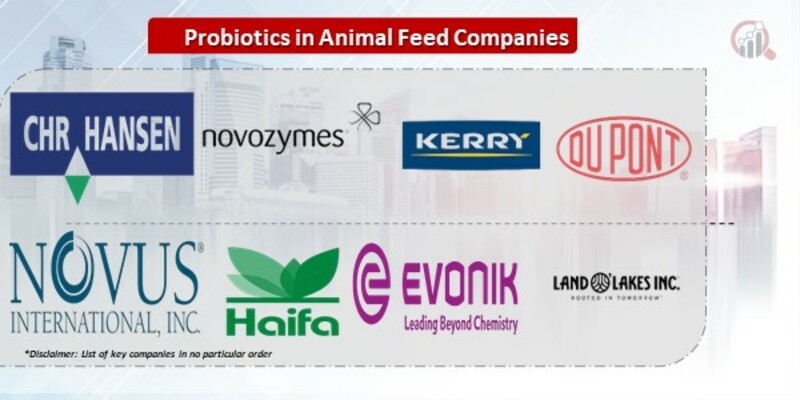 Probiotics in Animal Feed Companies.jpg