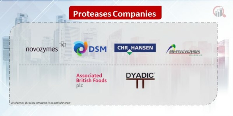 Proteases Companies