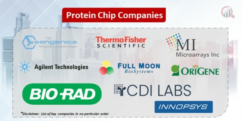 Protein Chip Key Companies