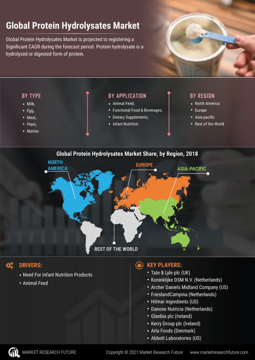 Protein Hydrolysates Market Growth, Size, Share and Forecast 2030 