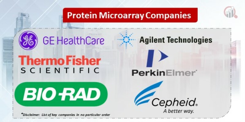 Protein Microarray Key Companies