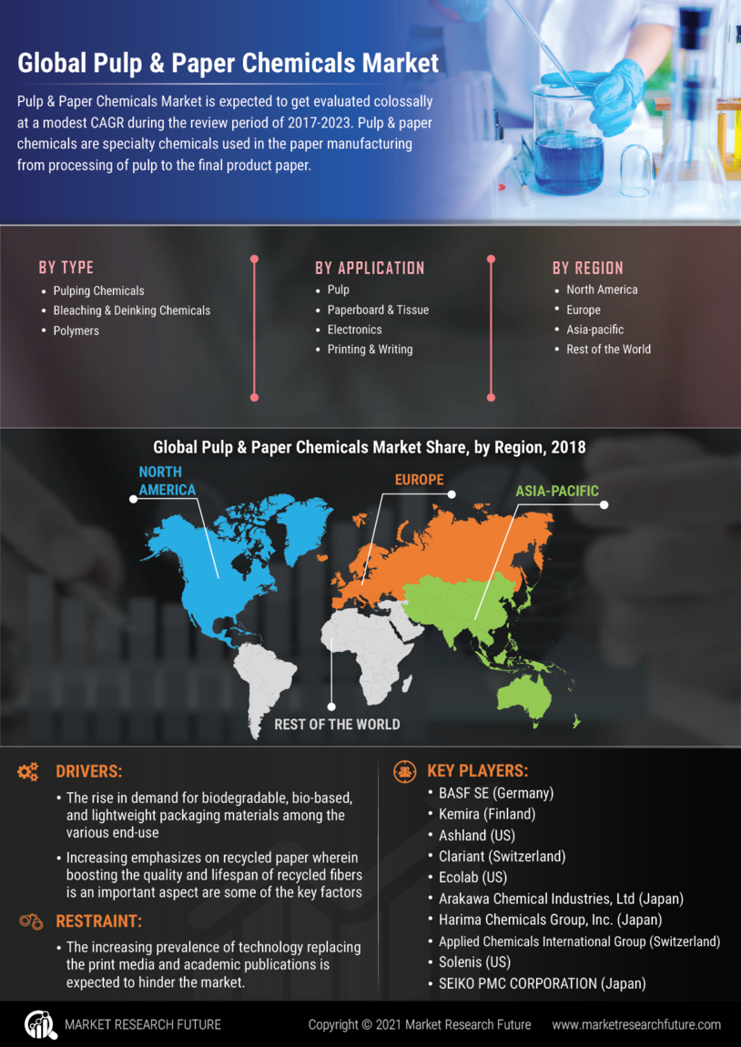 Pulp & Paper Chemicals Market