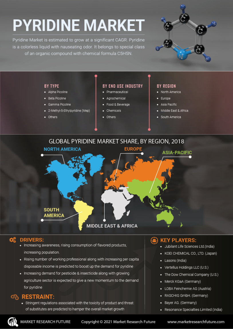 Pyridine Market