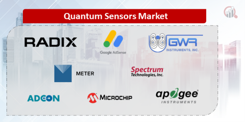 Quantum Sensors Companies