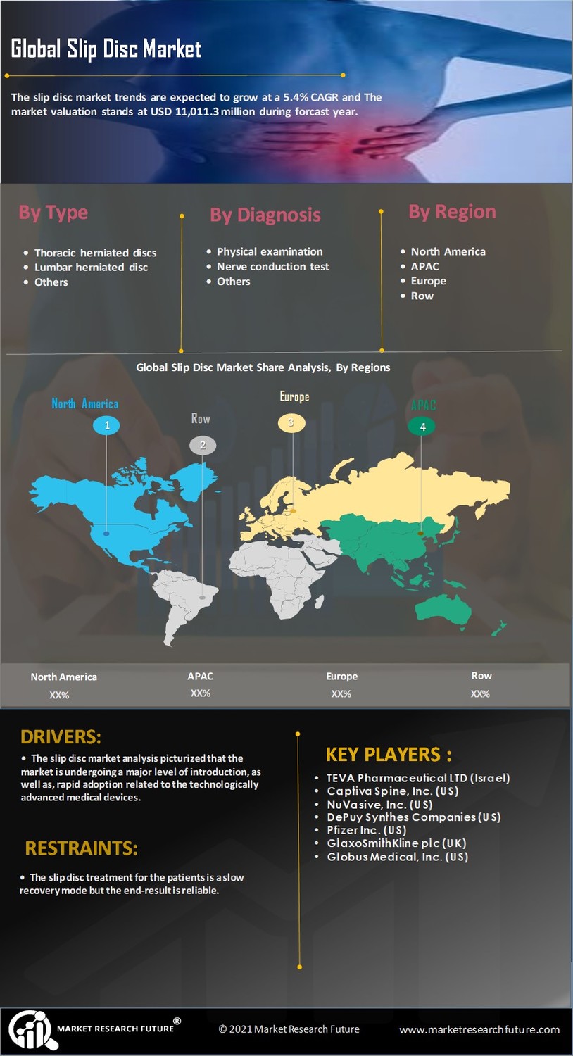 Slip Disc Market