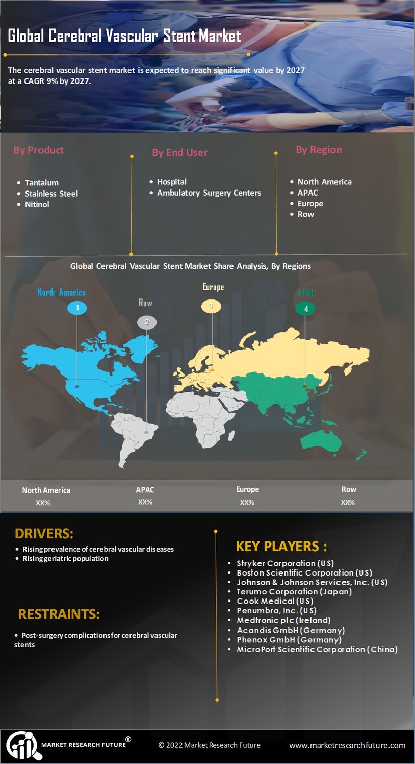 Cerebral Vascular Stent Market