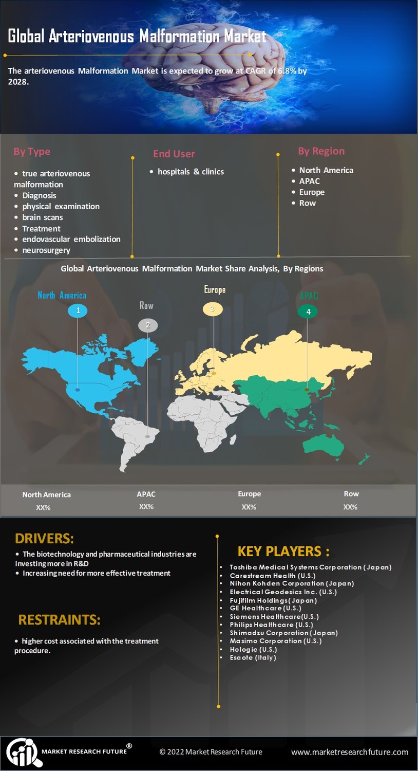 Arteriovenous Malformation Market