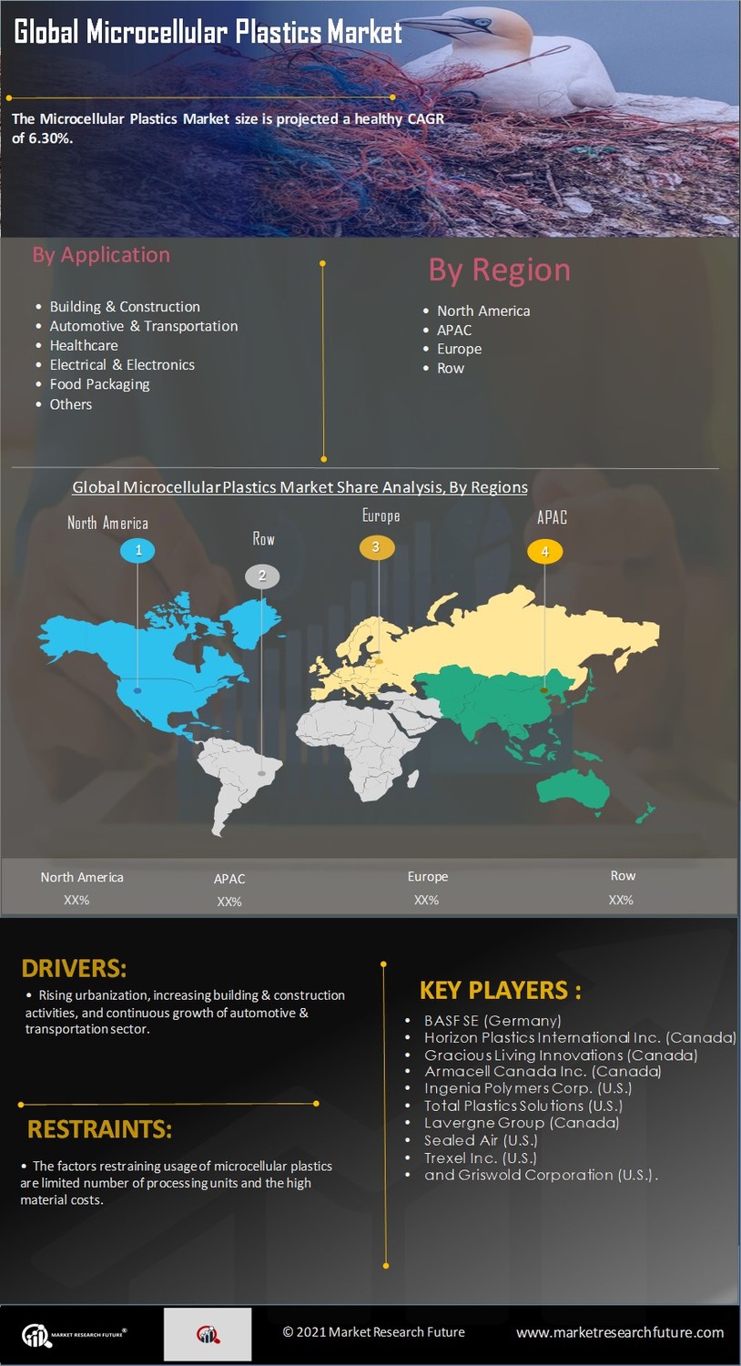 Microcellular Plastics Market