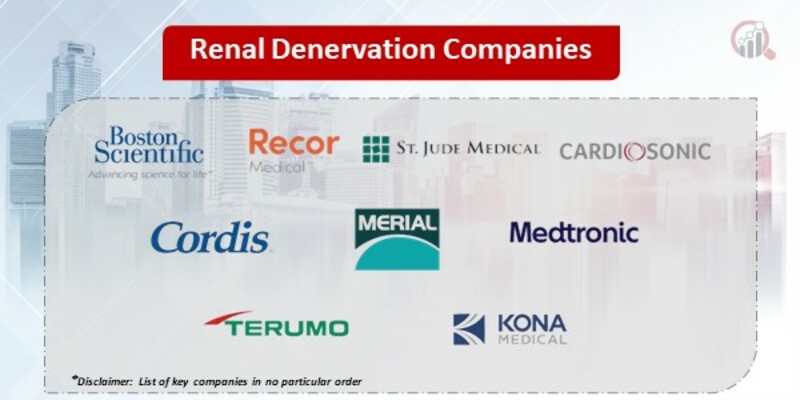 Renal Denervation Market