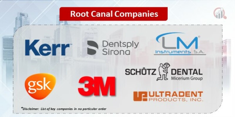 Root Canal Companies