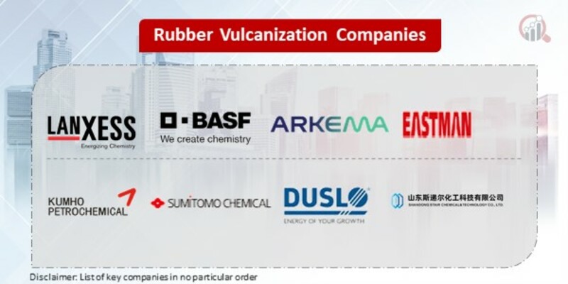 Rubber Vulcanization Key Companies 