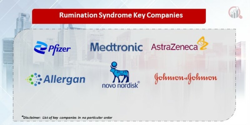 Rumination Syndrome Market