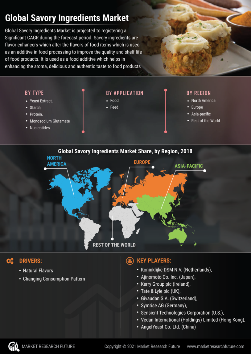 Savory Ingredients Market