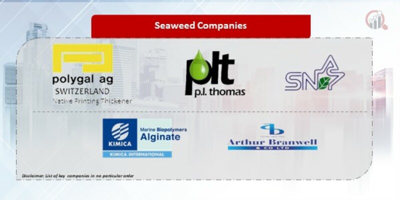 Seaweed Companies