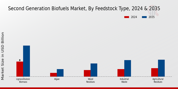 Second Generation Bio Fuels Market Type