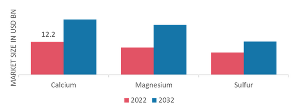 Secondary Macronutrients Market, by Nutrient, 2022 & 2032