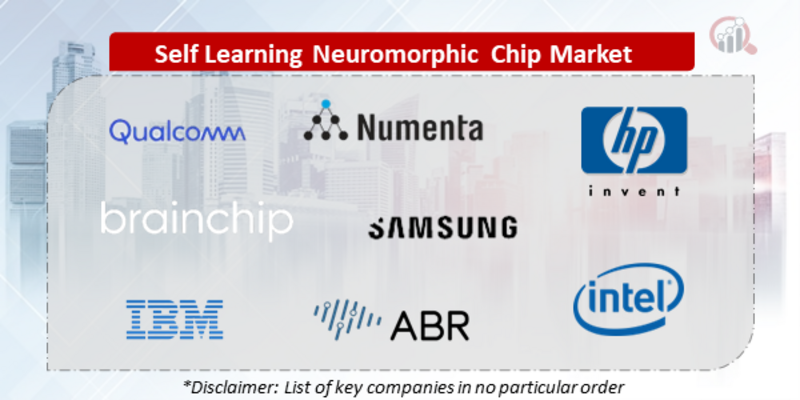 Self-Learning Neuromorphic Chip Companies