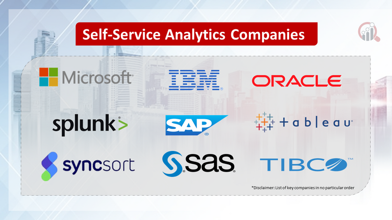 Self-Service Analytics Companies