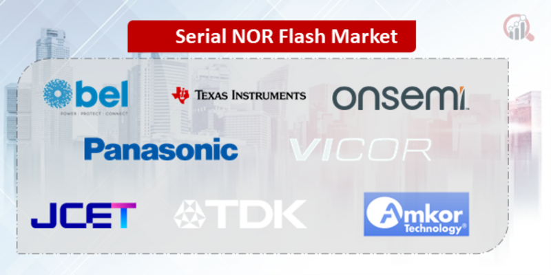 Serial NOR Flash Companies