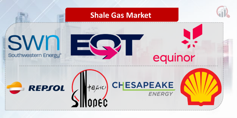 Shale Gas Key Company | Market Research Future