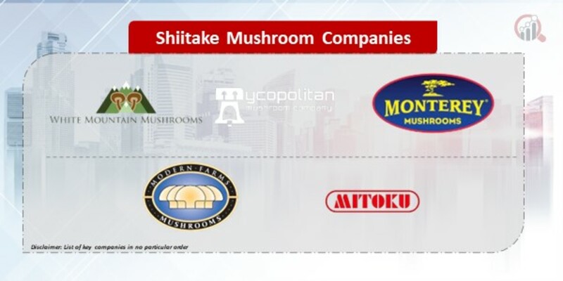 Shiitake Mushroom Company