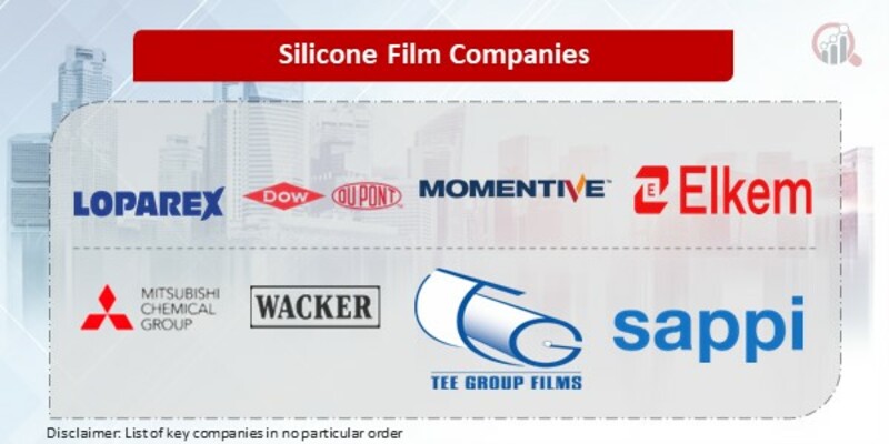 Silicone Film Key Companies