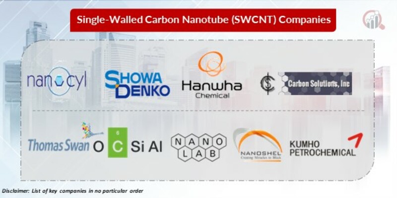 Single-walled carbon nanotube Key Copanies