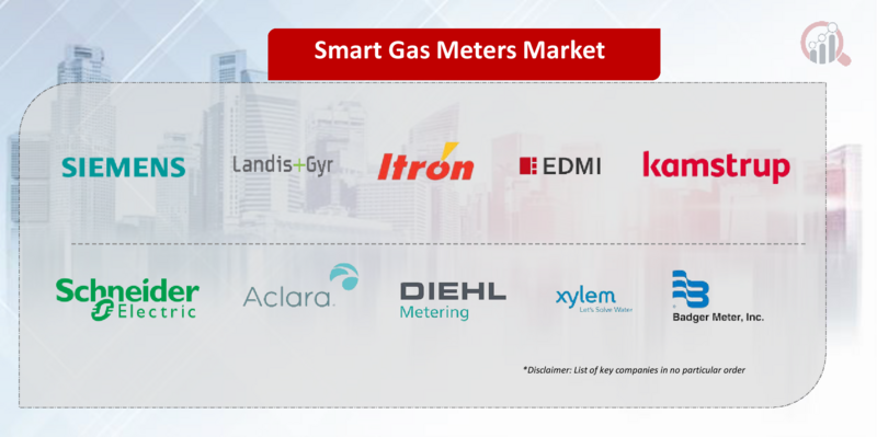 Smart Gas Meters Key Company