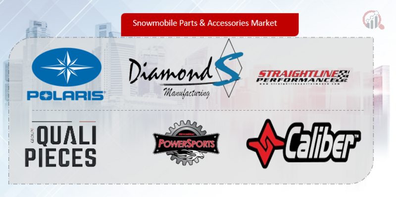Snowmobile Parts & Accessories Key Companies