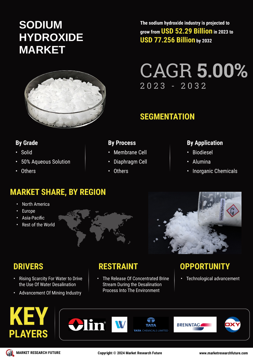 Sodium Hydroxide Market
