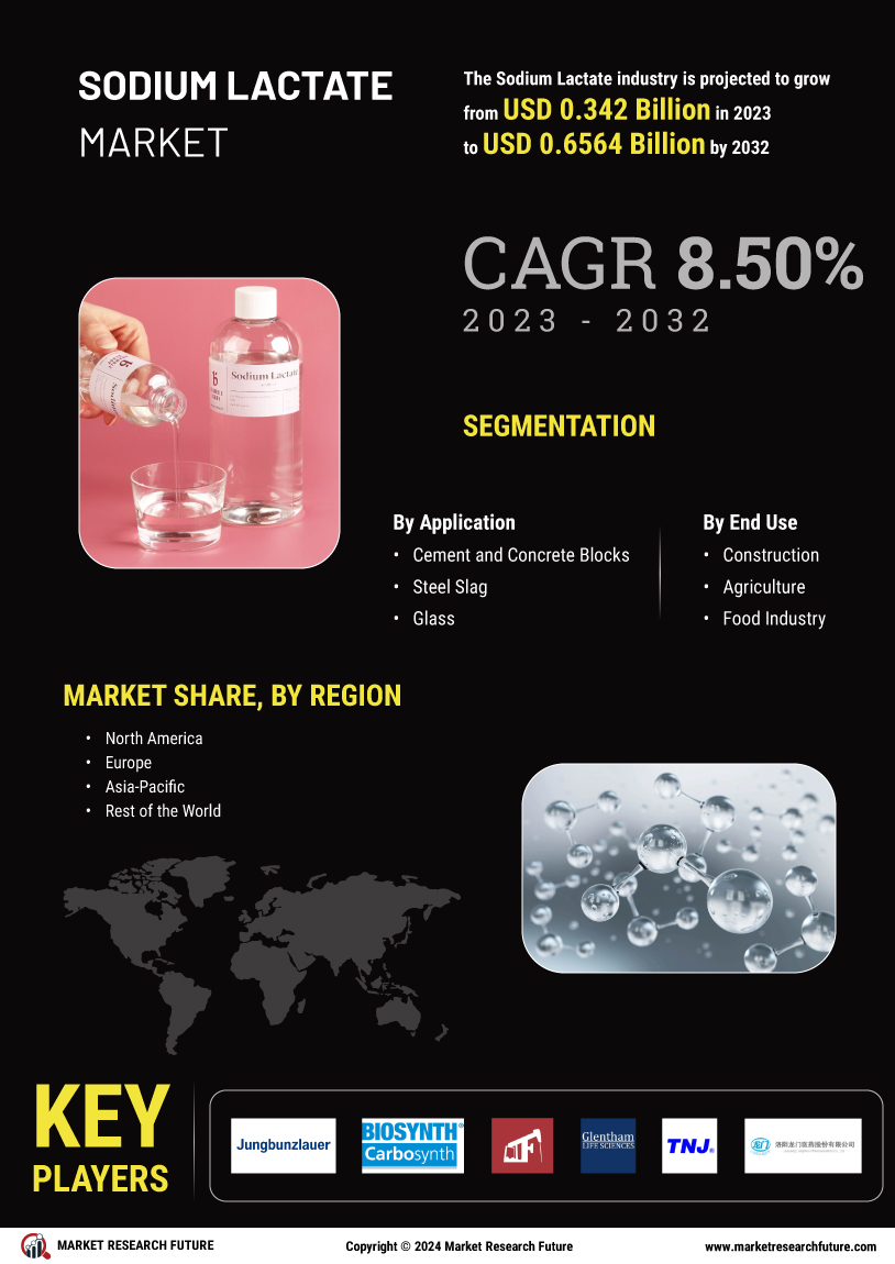 Sodium Lactate Market
