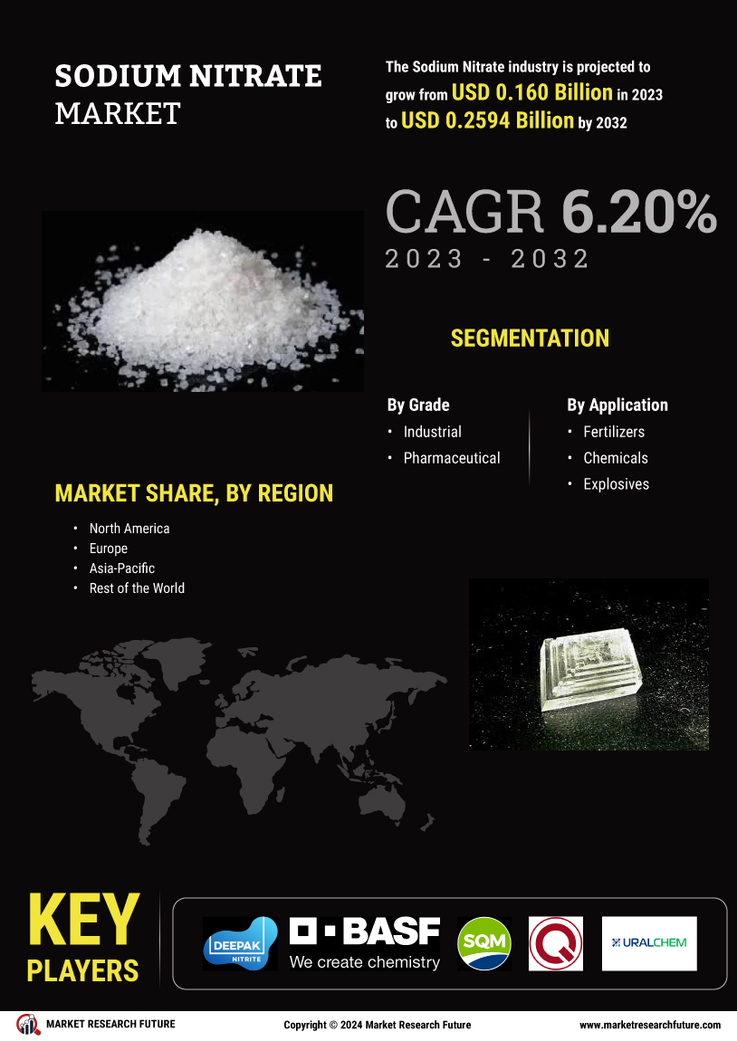 Sodium Nitrate Market
