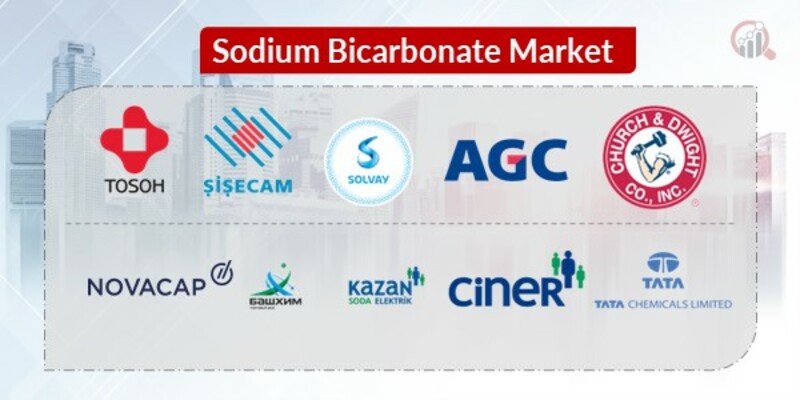 Sodium Bicarbonate Key Companies