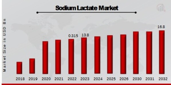 Sodium Lactate Market Overview