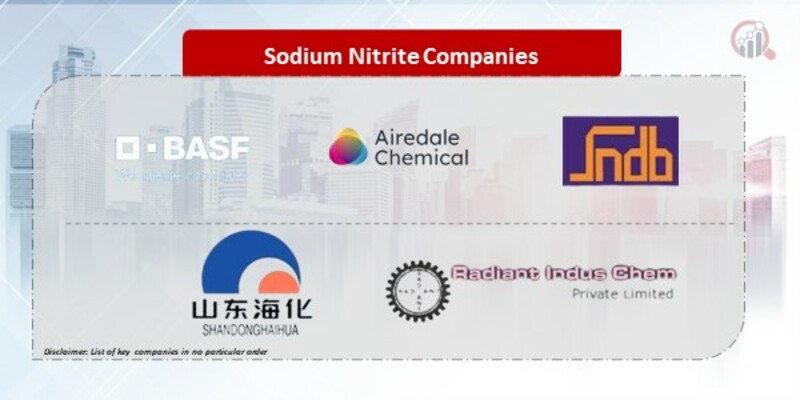 Sodium Nitrite Companies