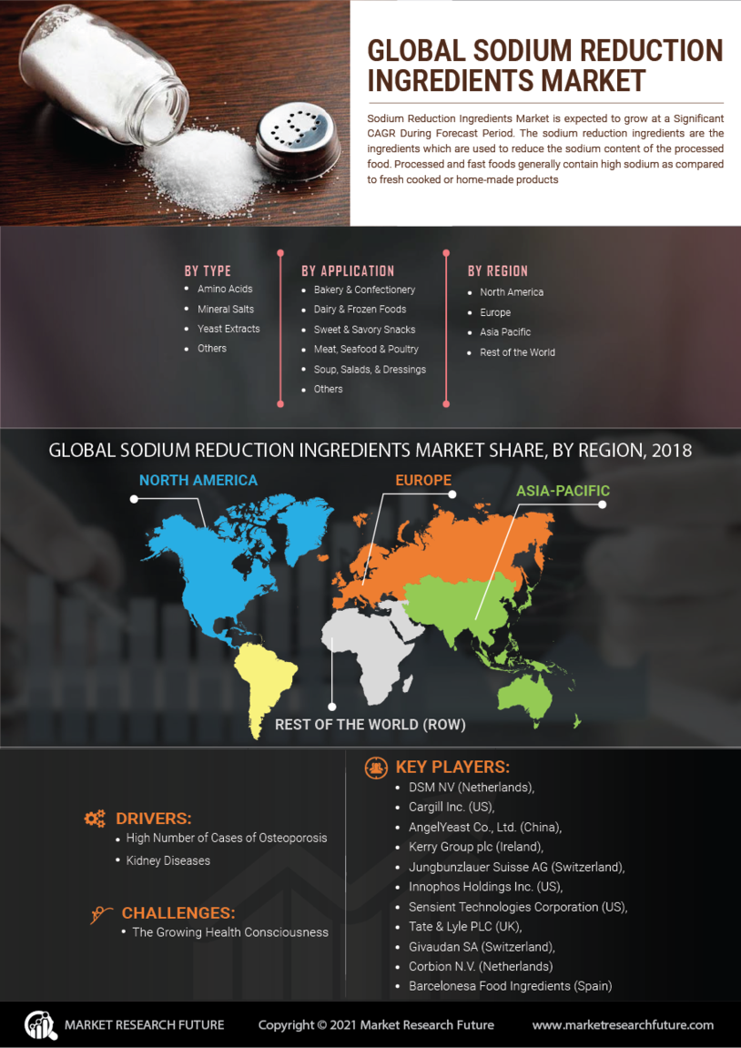 Sodium Reduction Ingredients Market