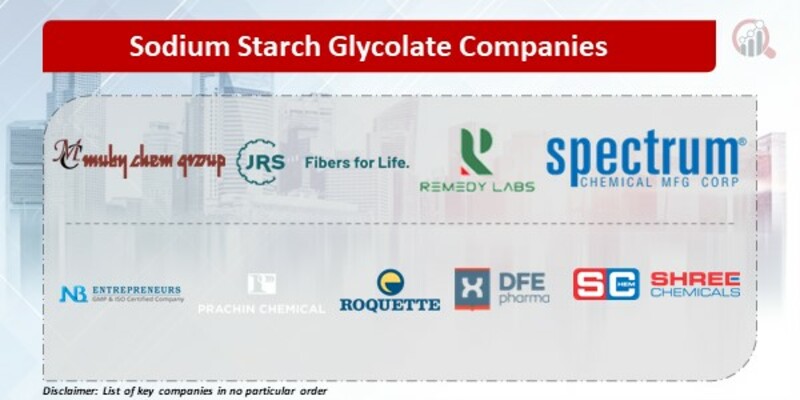 Sodium Starch Glycolate Companies