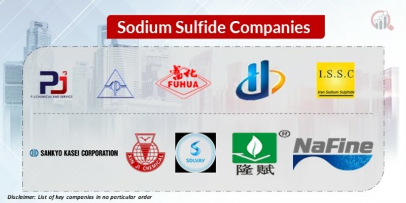 Sodium Sulfide Key Companies