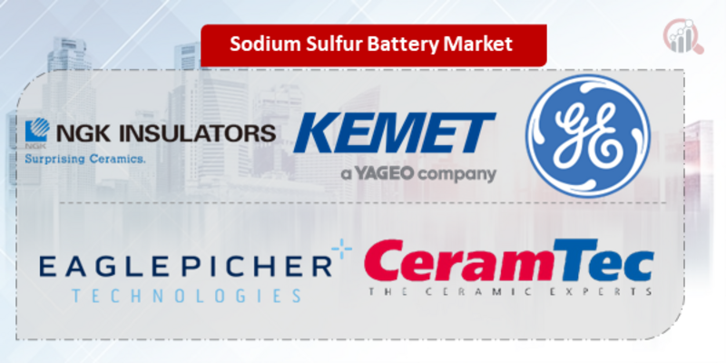 Sodium Sulfur Battery Key Company