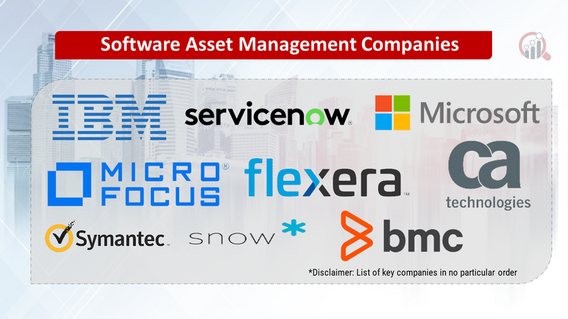 Software Asset Management Companies