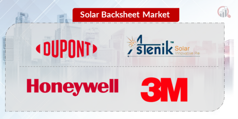 Solar Backsheet Key Company